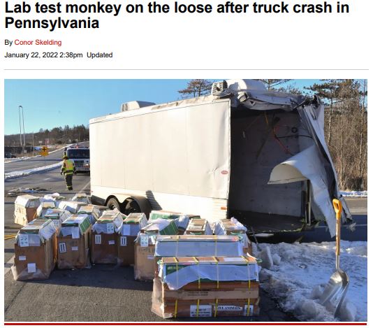 PDF: Lab monkey on the loose after truck crash in Pennsylvania