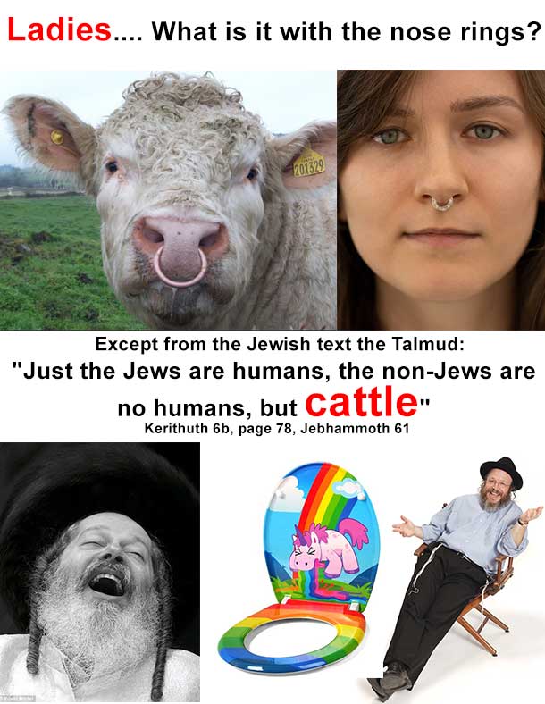 #Kosher #memes : Nose Rings are for Cattle 🤣 Ladies....