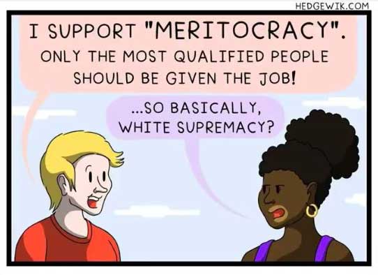 Cartoon: I support Meritocracy. Third world, here we come
